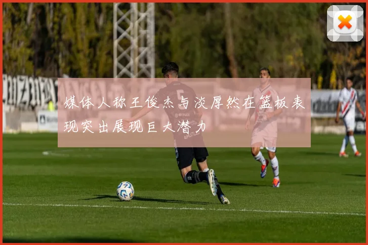 媒体人称王俊杰与淡厚然在篮板表现突出展现巨大潜力