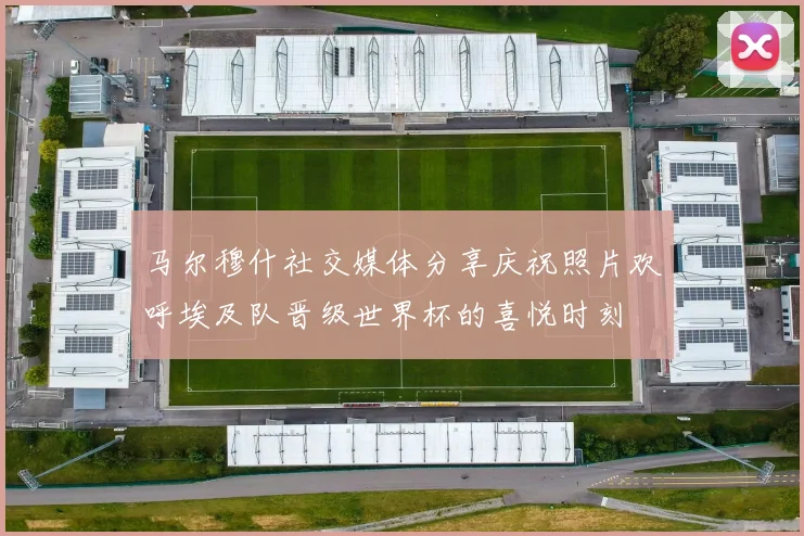 马尔穆什社交媒体分享庆祝照片欢呼埃及队晋级世界杯的喜悦时刻