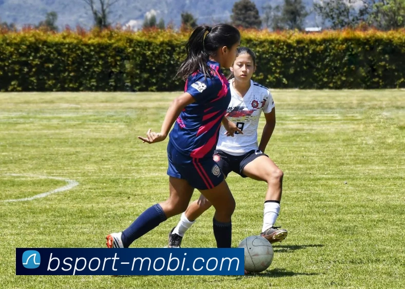 B体育APP 封面图